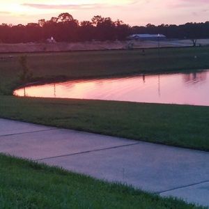 Meet your Posher, Neal